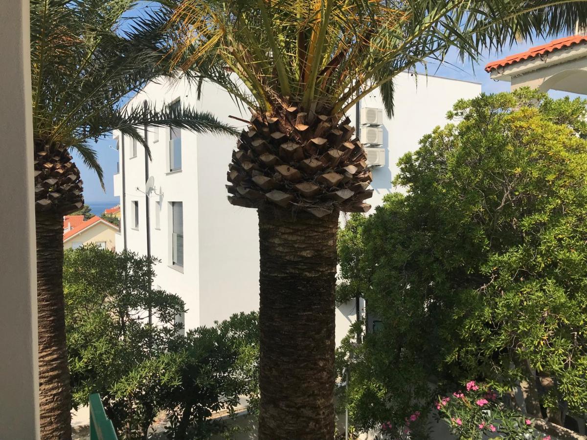 Ruza Mikelic Apartament