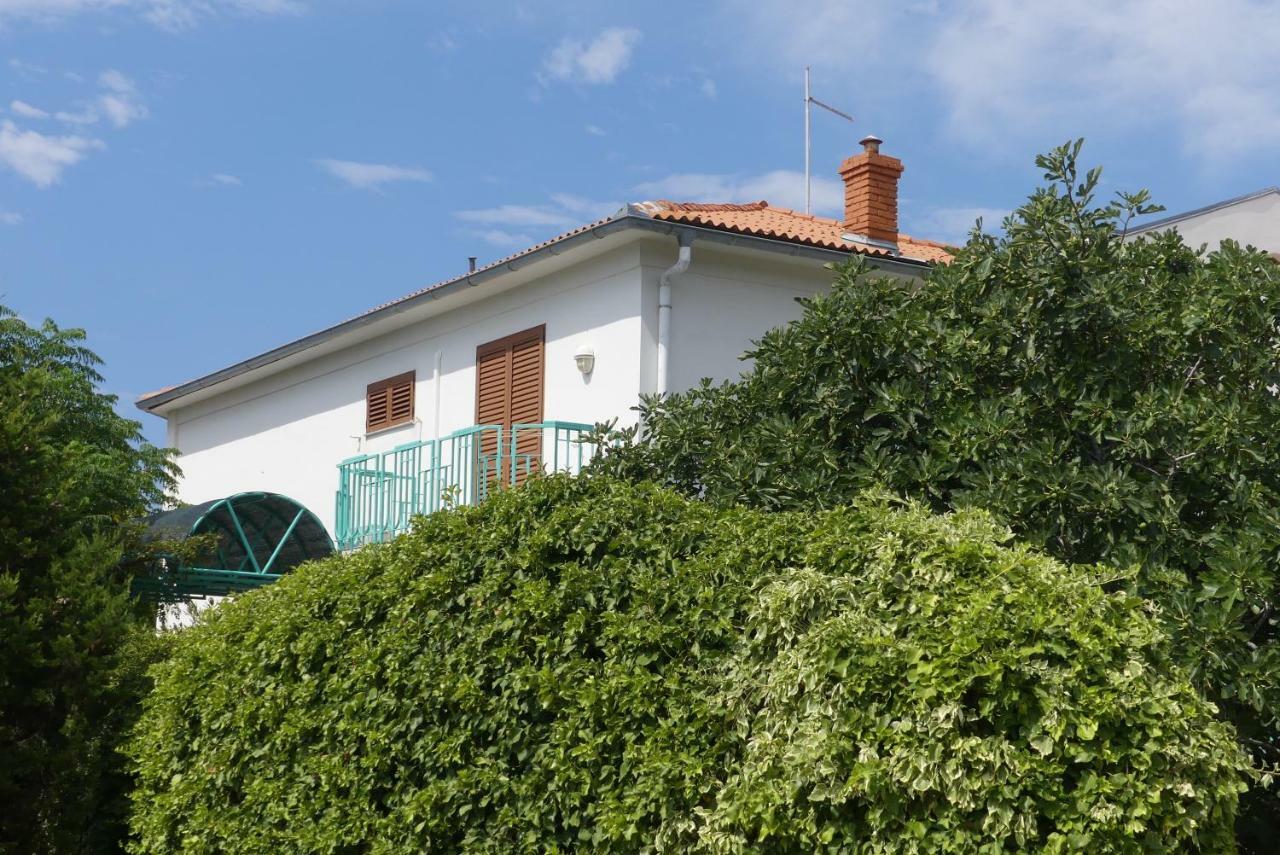 Ruza Mikelic Apartament